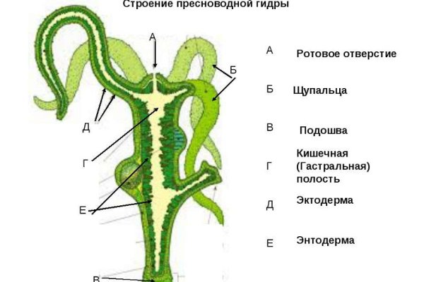 Дарк маркет это