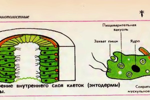 Кракен официальный