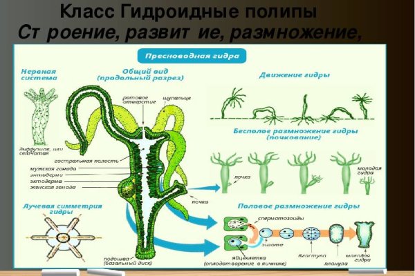 Кракен даркнет площадка kraken 11